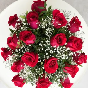 Rose rosse extra