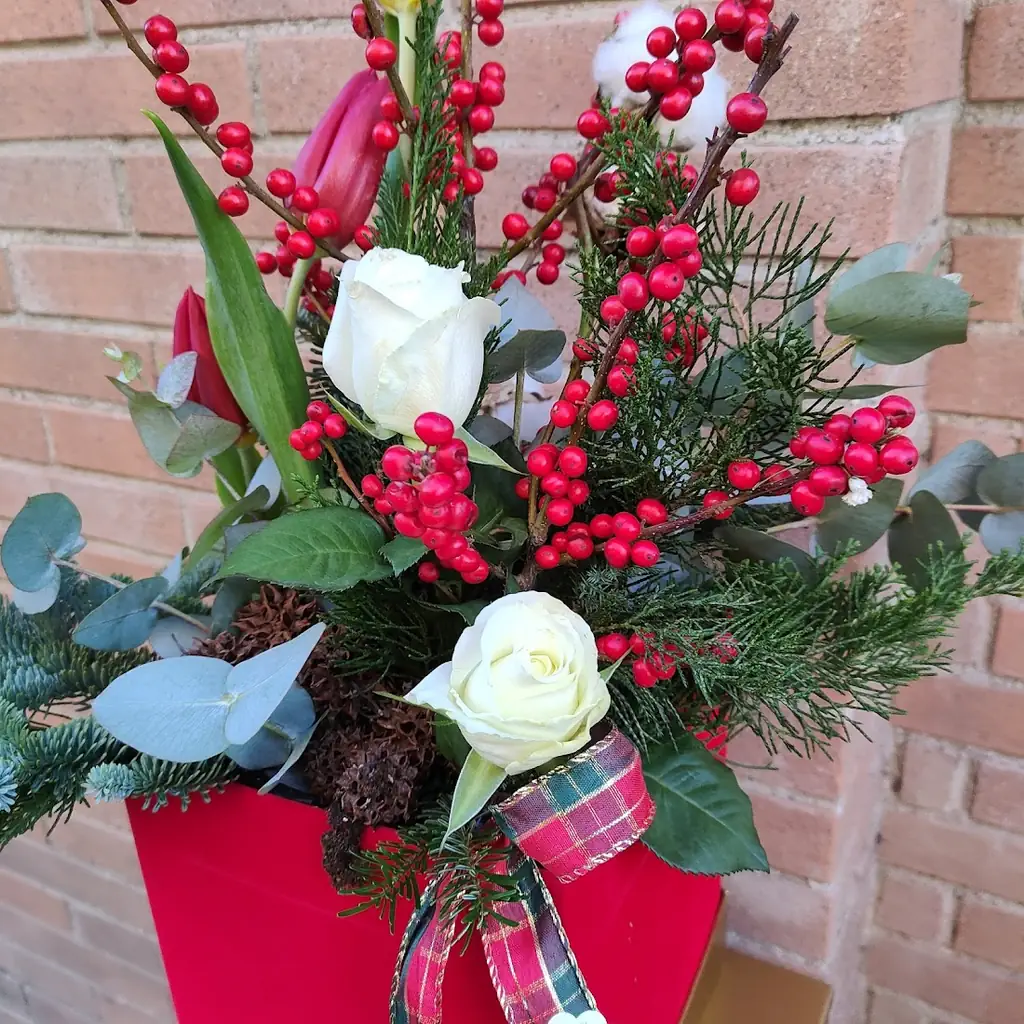 Flowerbox Christmas Velluto