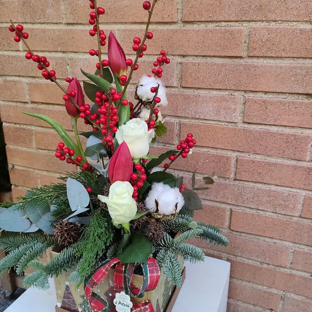 Flowerbox Christmas