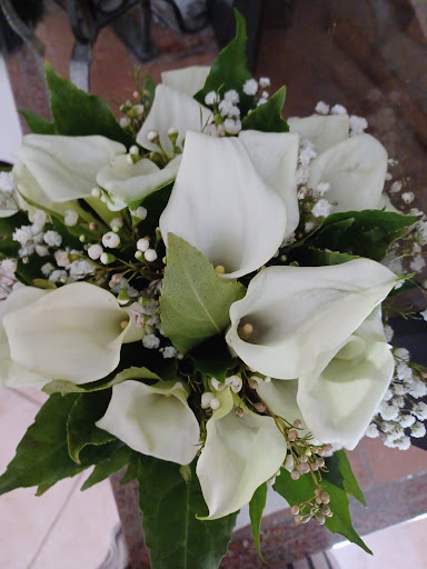 Photo from customer review